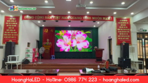 man-hinh-led-p2-5