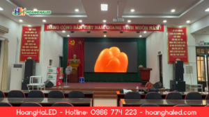 man-hinh-led-p2-5