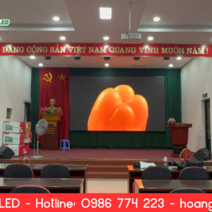 man-hinh-led-p2-5